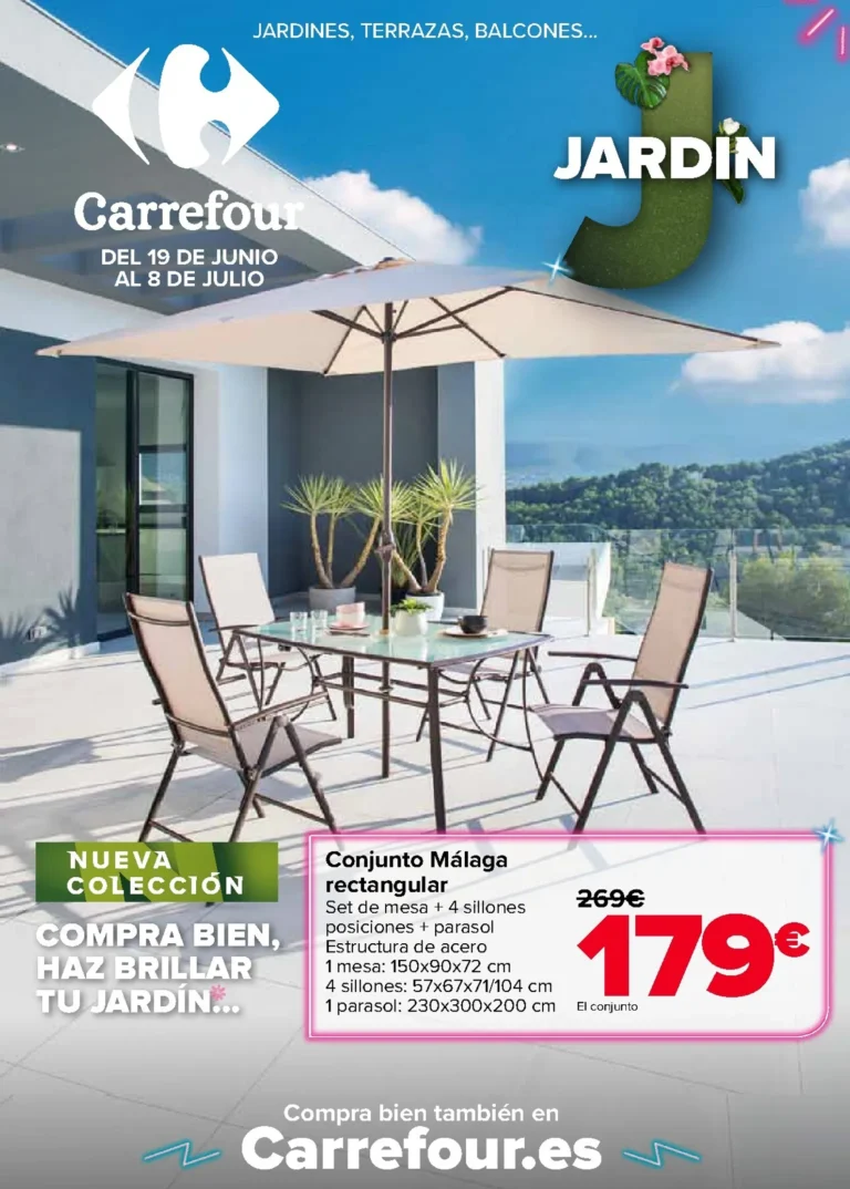 Carrefour folleto 19/06/2026