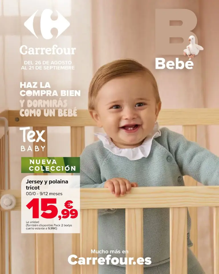 Carrefour folleto del 26/08/2026