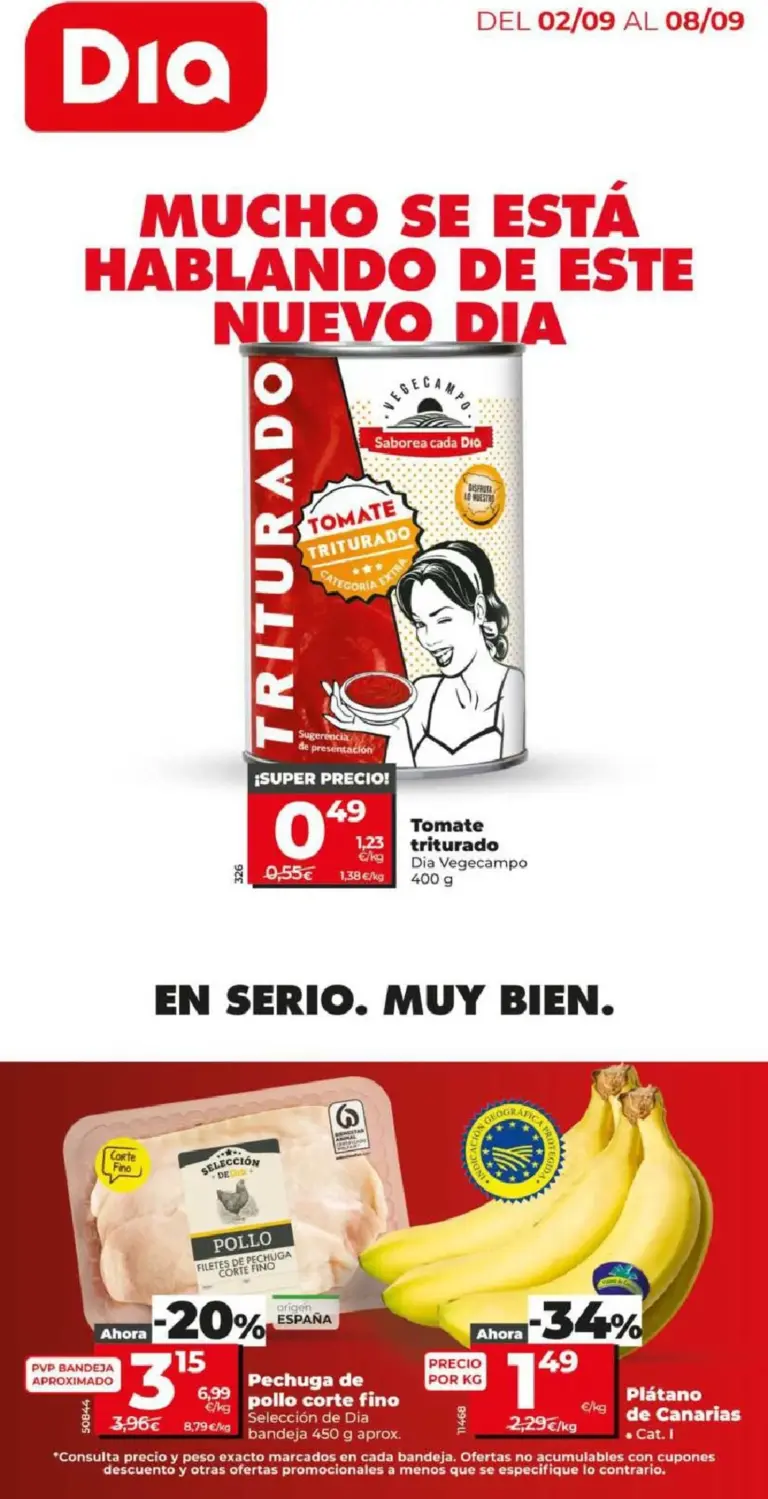 Dia folleto del 02/09/2026
